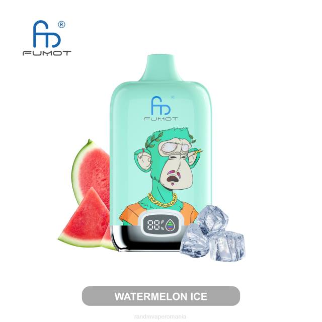 Best RandM Flavor - Fumot Original RandM Digital Box baterie 12000 și dispozitiv de vape cu afișaj lichid HXFL5 pepene verde de căpșuni