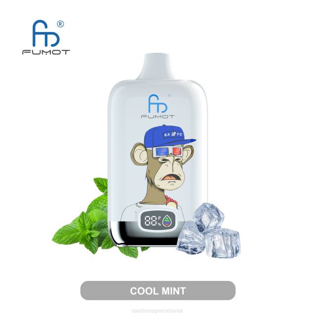 RandM Vape Romania - Fumot Original RandM Digital Box baterie 12000 și dispozitiv de vape cu afișaj lichid HXFL1 menta rece