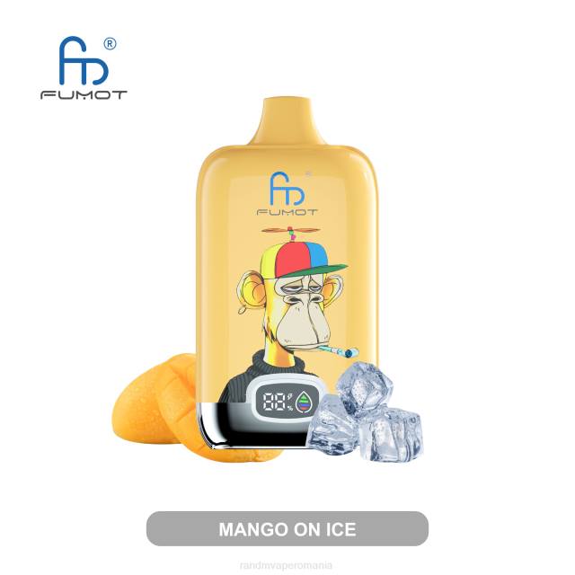 RandM Vapes - Fumot Original RandM Digital Box baterie 12000 și dispozitiv de vape cu afișaj lichid HXFL12 mango pe gheață
