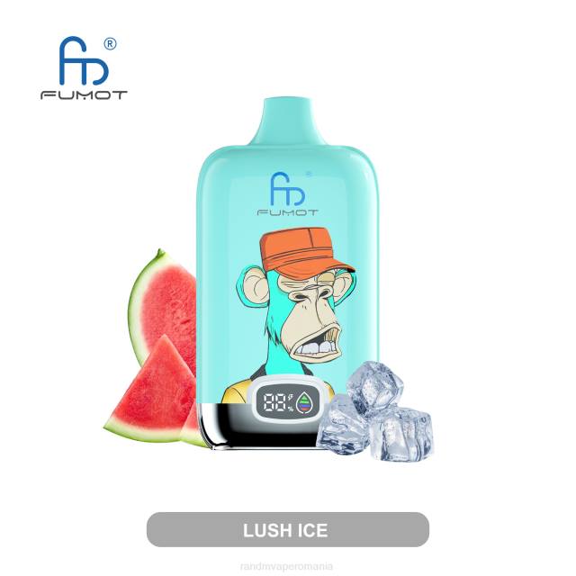 RandM Vapes - Fumot Original RandM Digital Box baterie 12000 și dispozitiv de vape cu afișaj lichid HXFL12 mango pe gheață