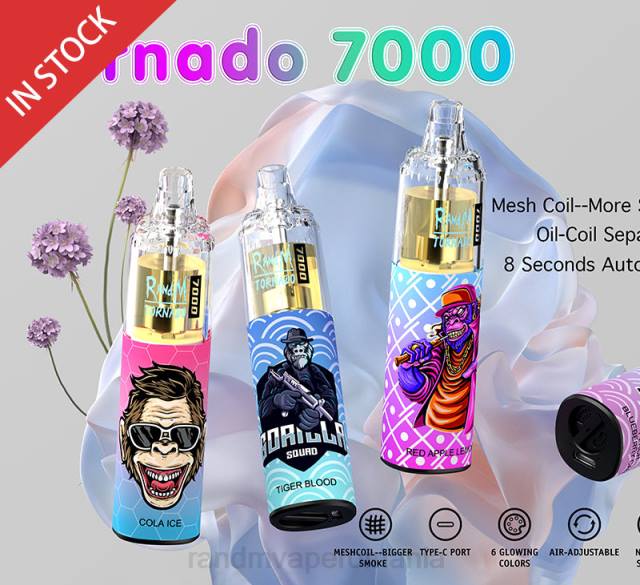 RandM Disposable Vape - RandM Tornado 7000 dispozitiv de vape pentru controlul fluxului de aer 1buc HXFL176 fructe de padure amestecate