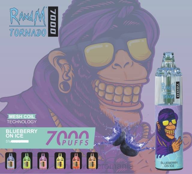RandM Disposable Vape - RandM Tornado 7000 dispozitiv de vape pentru controlul fluxului de aer 1buc HXFL176 fructe de padure amestecate