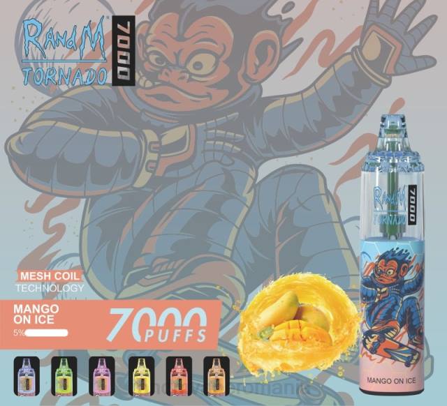 RandM Disposable Vape - RandM Tornado 7000 dispozitiv de vape pentru controlul fluxului de aer 1buc HXFL176 fructe de padure amestecate