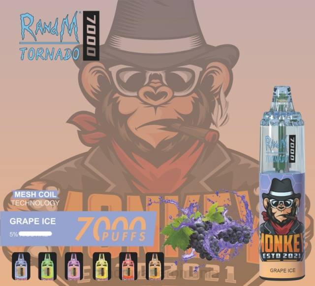 RandM Disposable Vape - RandM Tornado 7000 dispozitiv de vape pentru controlul fluxului de aer 1buc HXFL176 fructe de padure amestecate