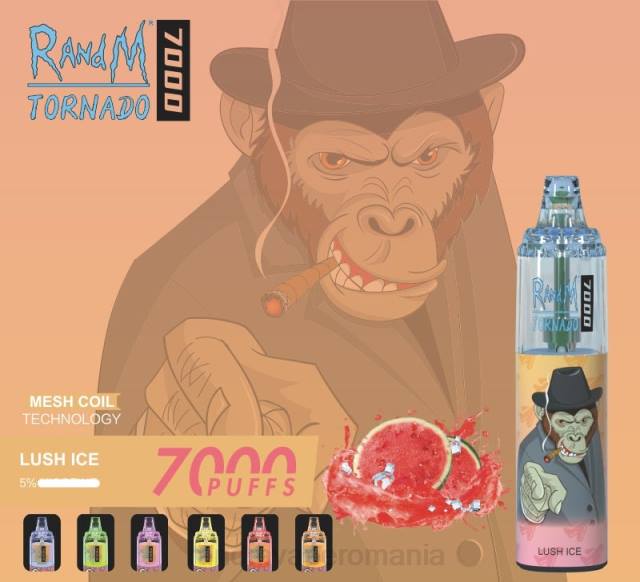 RandM Disposable Vape - RandM Tornado 7000 dispozitiv de vape pentru controlul fluxului de aer 1buc HXFL176 fructe de padure amestecate