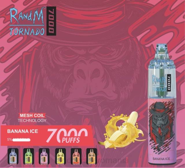 RandM Disposable Vape - RandM Tornado 7000 dispozitiv de vape pentru controlul fluxului de aer 1buc HXFL176 fructe de padure amestecate