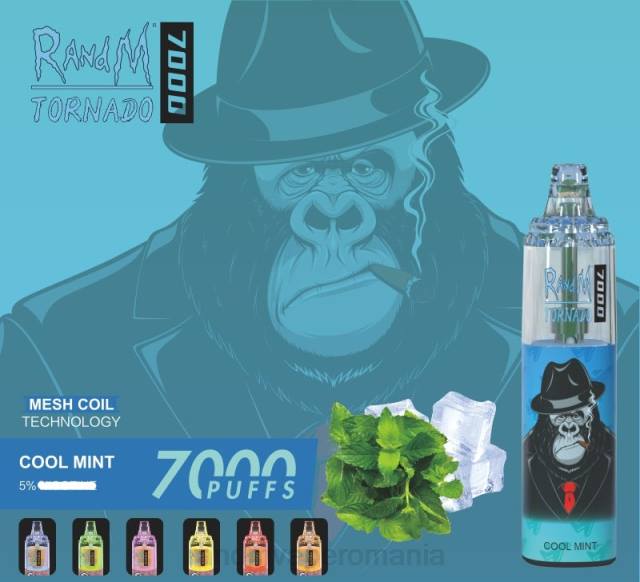 RandM Disposable Vape - RandM Tornado 7000 dispozitiv de vape pentru controlul fluxului de aer 1buc HXFL176 fructe de padure amestecate