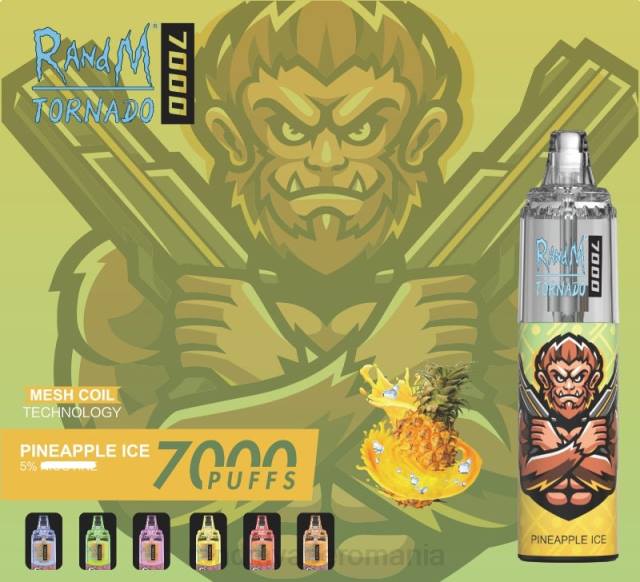 RandM Disposable Vape - RandM Tornado 7000 dispozitiv de vape pentru controlul fluxului de aer 1buc HXFL176 fructe de padure amestecate