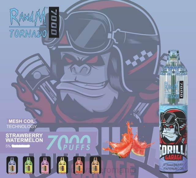 RandM Disposable Vape - RandM Tornado 7000 dispozitiv de vape pentru controlul fluxului de aer 1buc HXFL176 fructe de padure amestecate