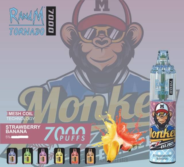 RandM Disposable Vape - RandM Tornado 7000 dispozitiv de vape pentru controlul fluxului de aer 1buc HXFL176 fructe de padure amestecate