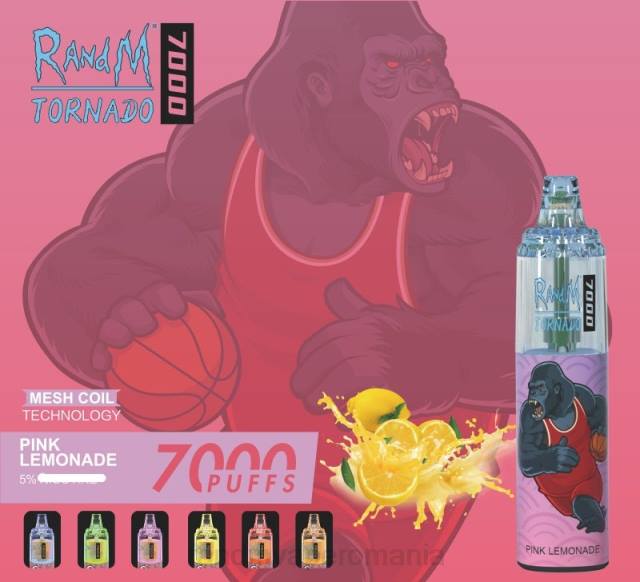 RandM Disposable Vape - RandM Tornado 7000 dispozitiv de vape pentru controlul fluxului de aer 1buc HXFL176 fructe de padure amestecate