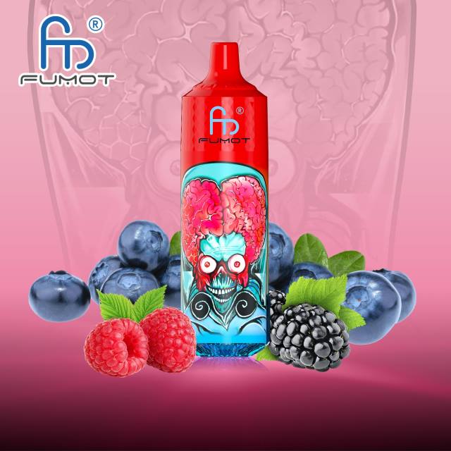 RandM Vape Romania - Fumot RandM Tornado Dispozitiv de vape 9000 pro cu baterie și afișaj ejuice versiunea 1 HXFL191 afine zmeura acra