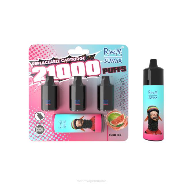 RandM Disposable Vape - RandM Sunax 21000 pod de control al fluxului de aer dispozitiv de vape înlocuibil 1buc HXFL266 gheață luxuriantă